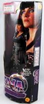Xena Warrior Princess - 12\'\' Collector Series - Evil Xena \ Armageddon Now Part II\ 