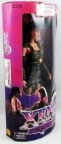 Xena Warrior Princess - 12\'\' Collector Series - Xena